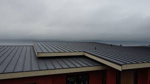 Best Metal Roofing Installation  in Mena, AR